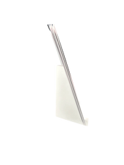 Anne's Animal Print Calendar 2025