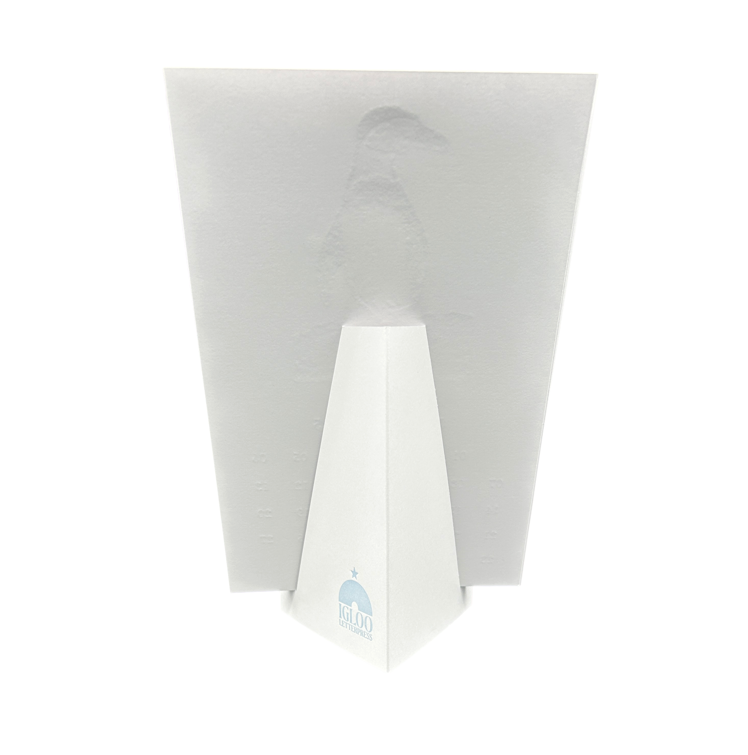 Anne's Animal Print Calendar 2025