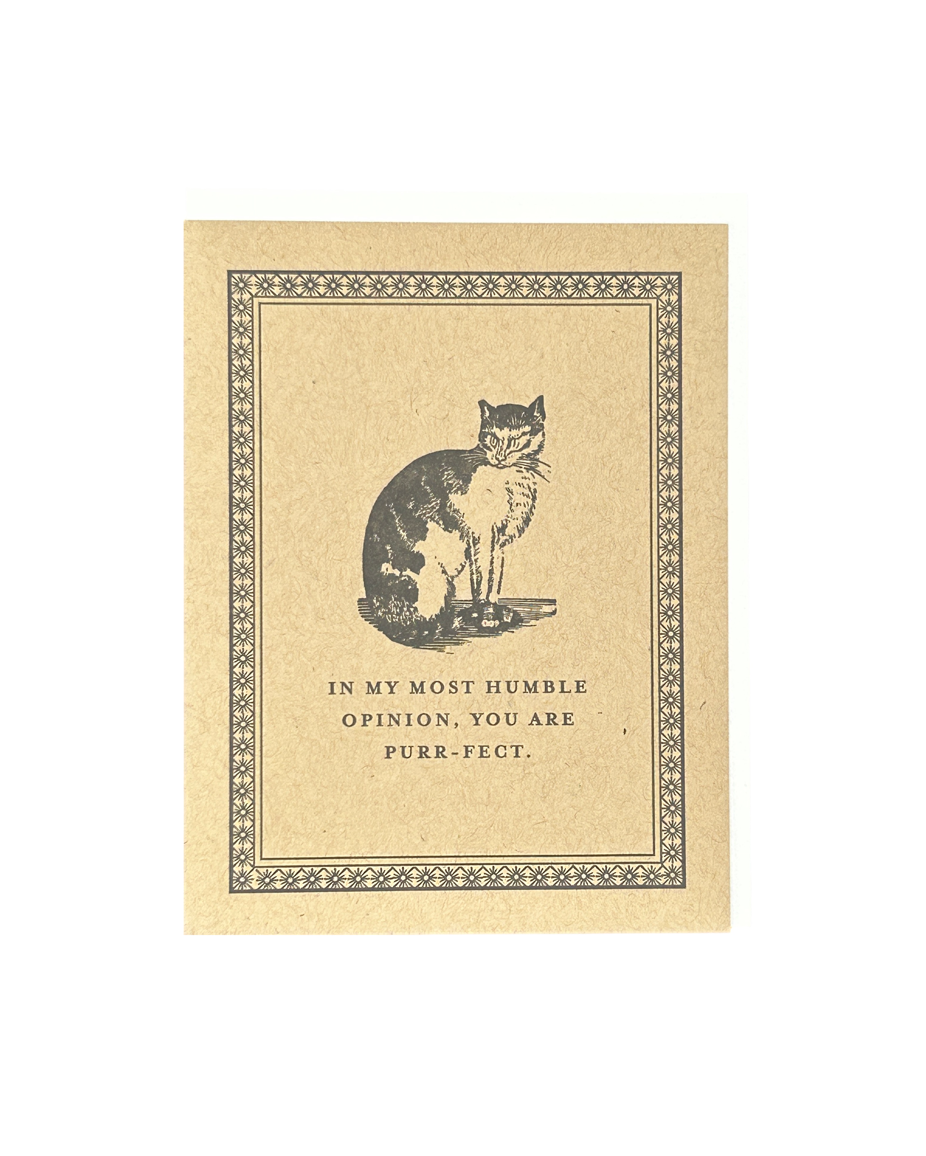 Purr-fect Letterpress Card