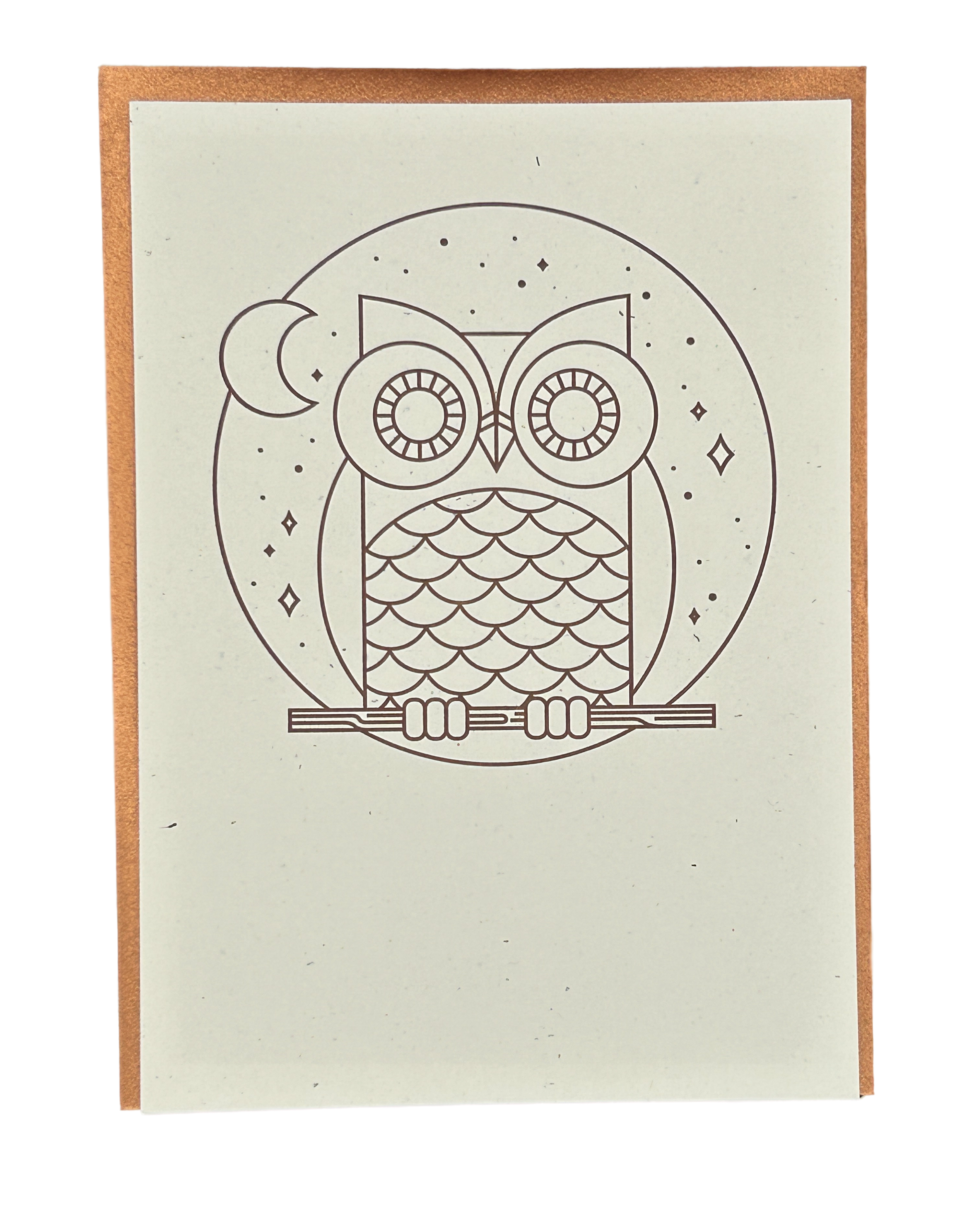 Owl Color-in  Letterpress Card